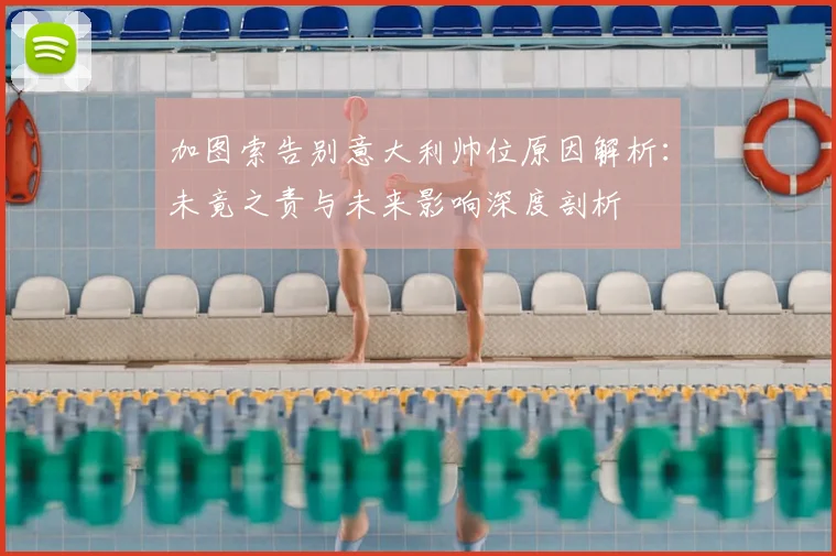 加图索告别意大利帅位原因解析：未竟之责与未来影响深度剖析
