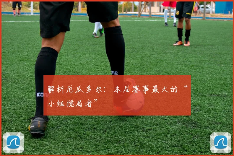 解析厄瓜多尔：本届赛事最大的“小组搅局者”