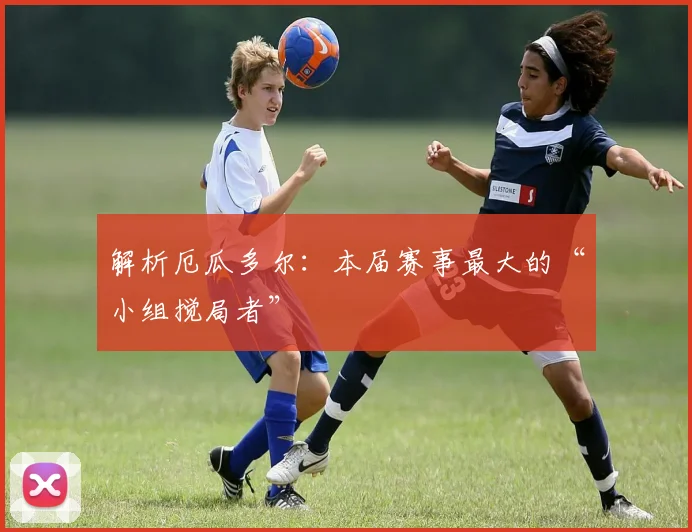 解析厄瓜多尔：本届赛事最大的“小组搅局者”