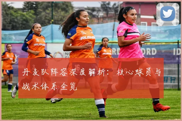丹麦队阵容深度解析：核心球员与战术体系全览